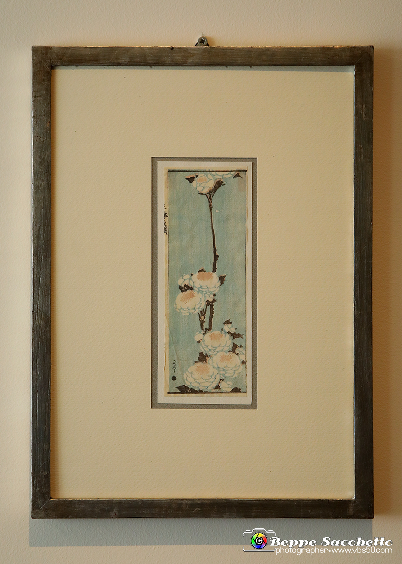 VBS_1226 - Castello di Miradolo - Mostra Oltre il giardino l'Abbecedario di paolo Pejrone.jpg